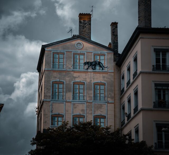 lyon8