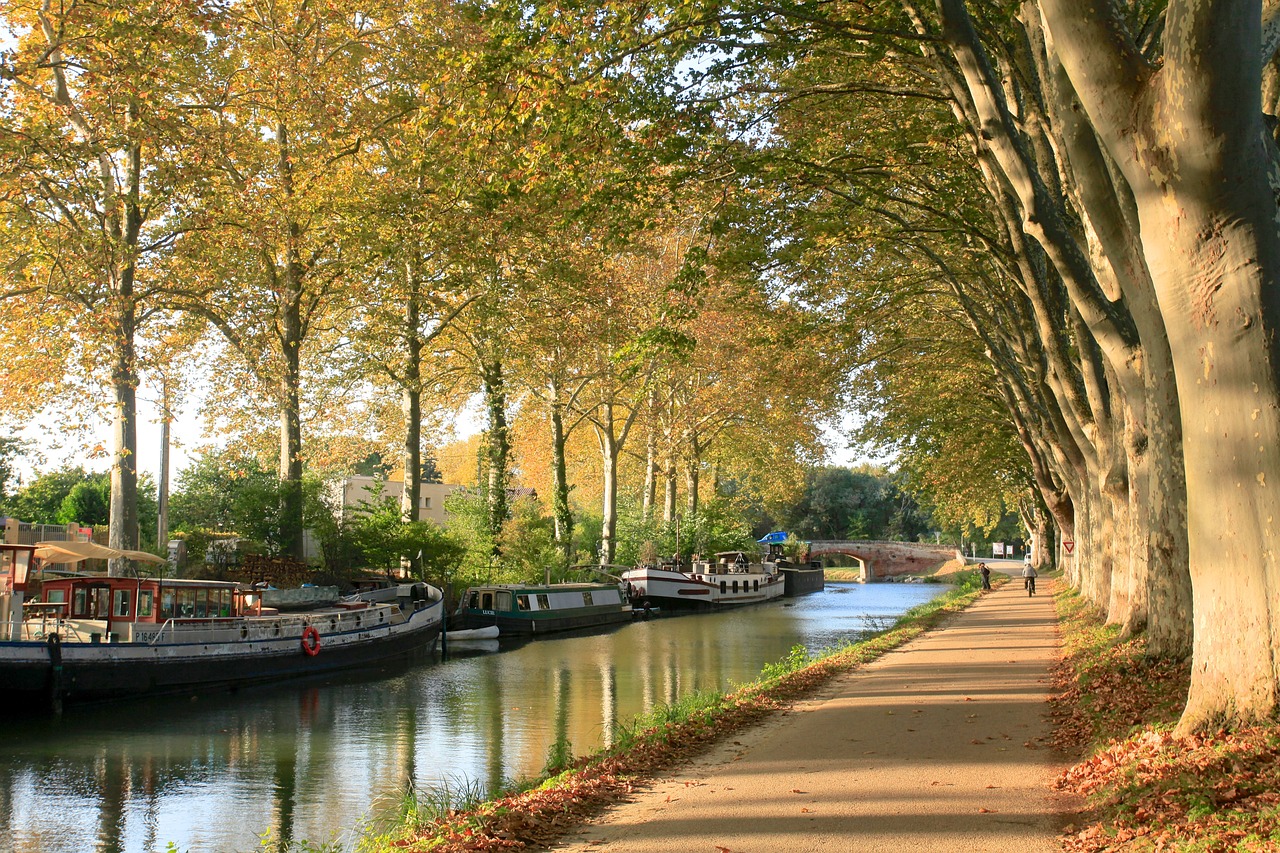 toulouse1