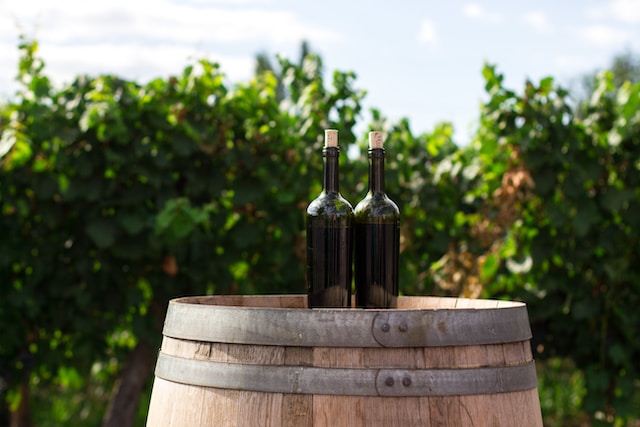 wine-tour