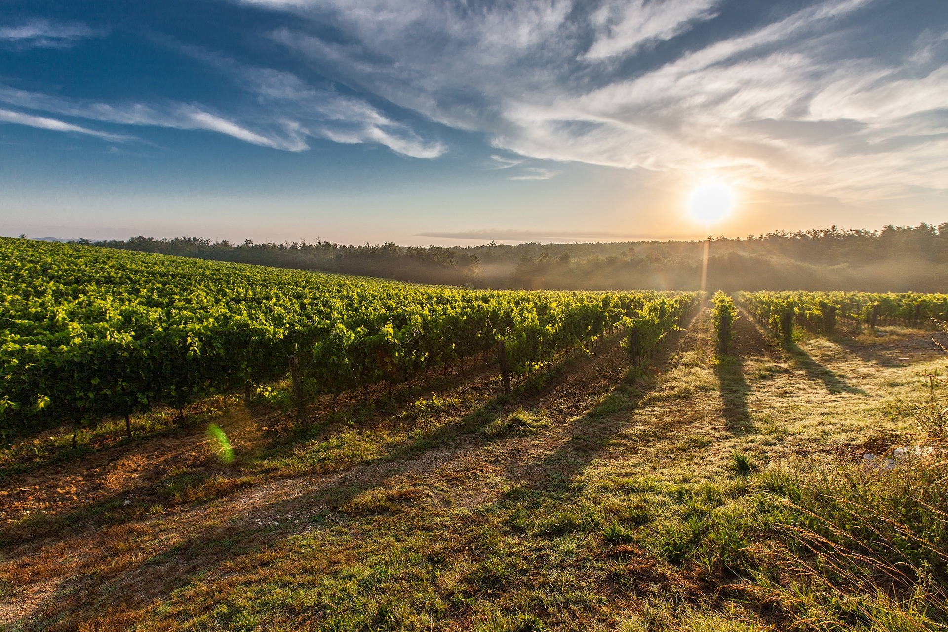 tuscany-wine