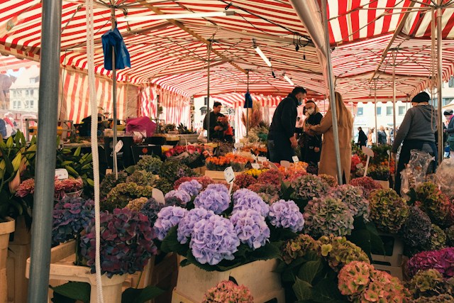 germany-market