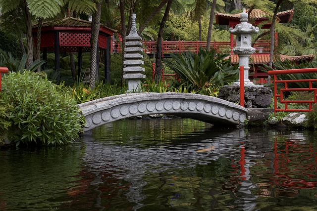 madeira-botanic-gardens