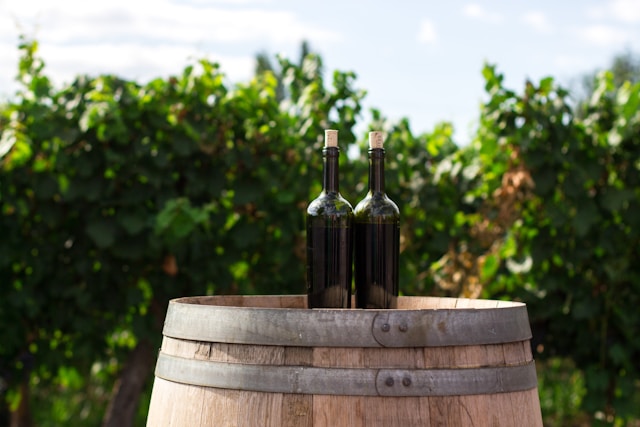 wine-tour