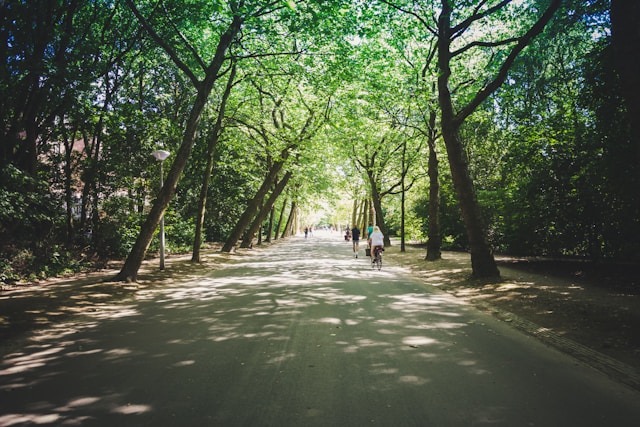 vondelpark-amsterdam