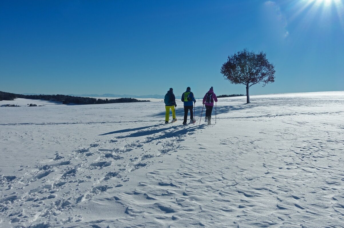 snowshoeing-stock
