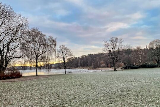 djurgarden-park