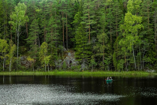 nuuksio nuuksio
