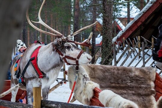 santa-claus-village