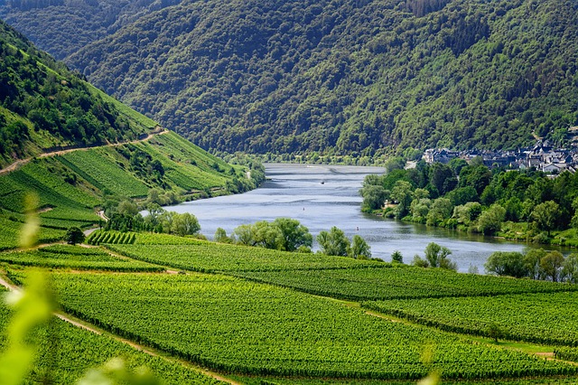 wine-tour-luxembourg