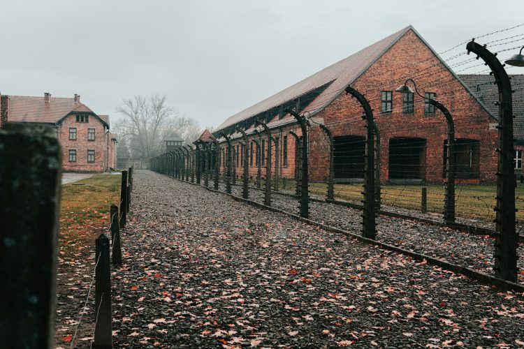 auschwitz-ii