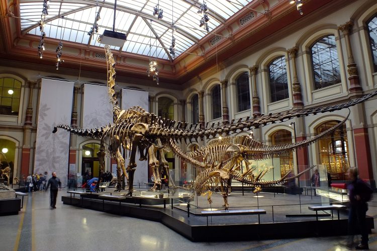 berlin-natural-history-museum