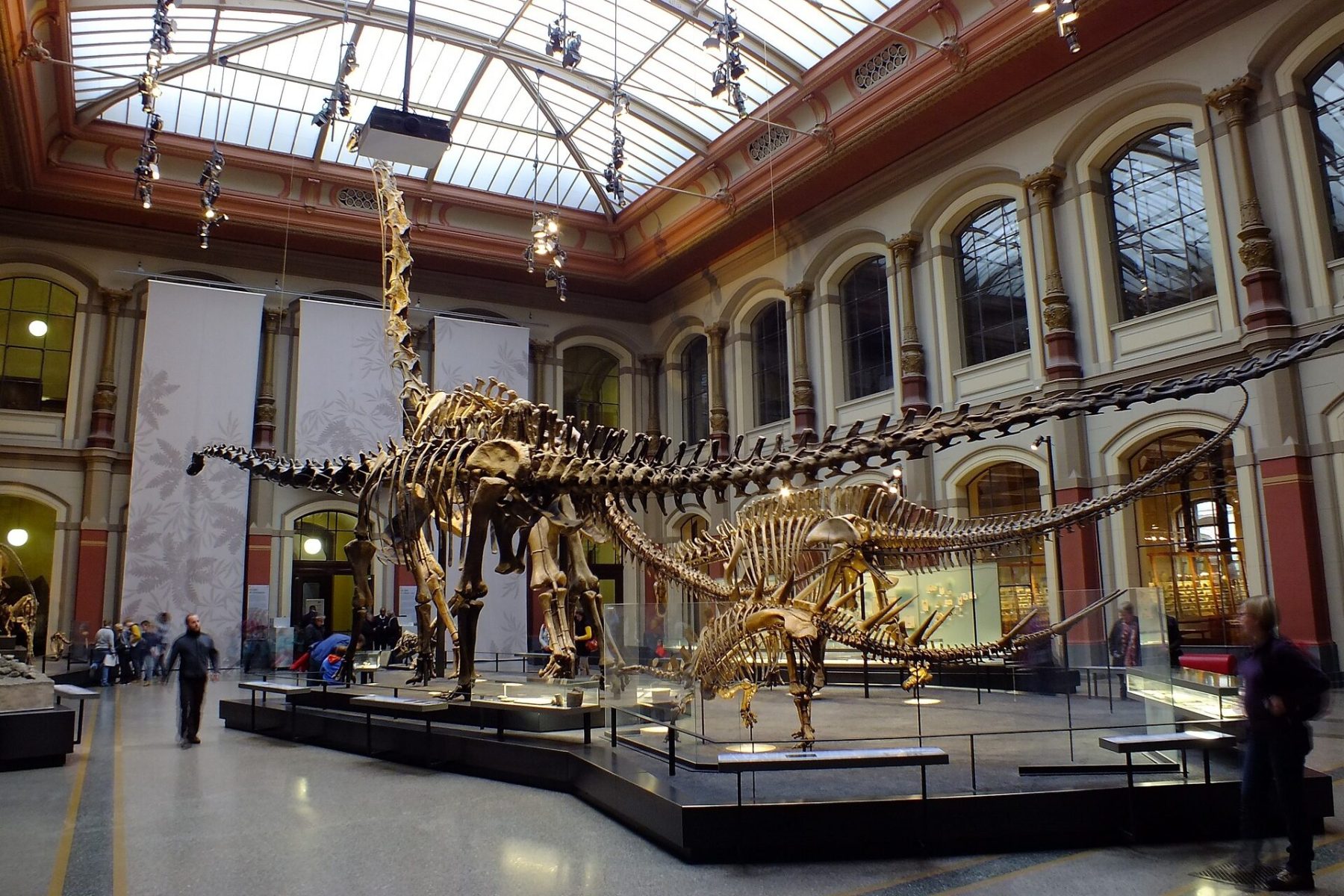 berlin-natural-history-museum