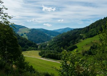 black-forest