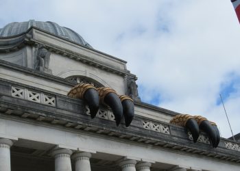 cardiff-museum