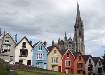 cork-view