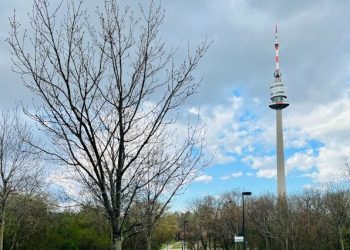 danube-tower