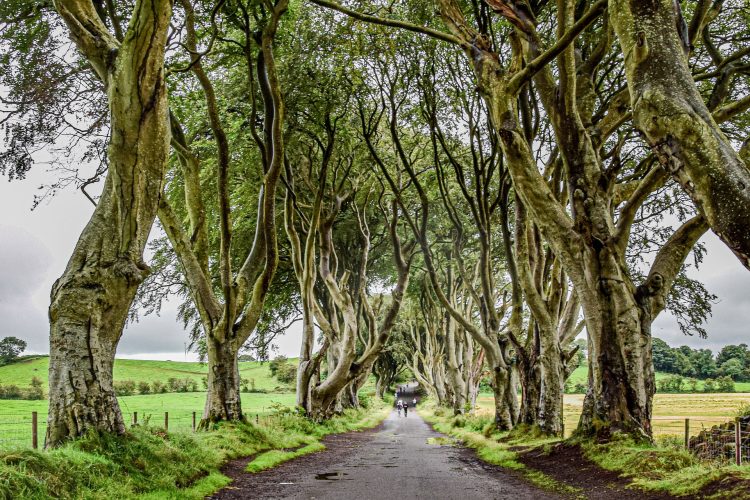 game-of-thrones-tour