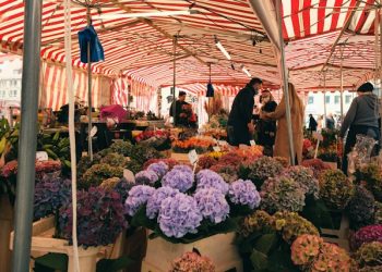 germany-market