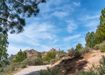 hike-gran-canaria