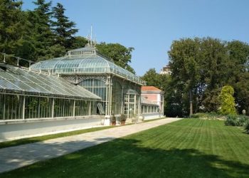 jevremovac
