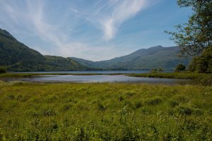 killarney-national-park