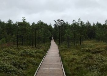 lahemaa-park