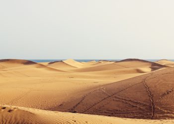 maspalomas-dunes