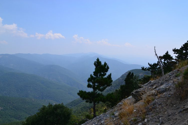 mount-ida