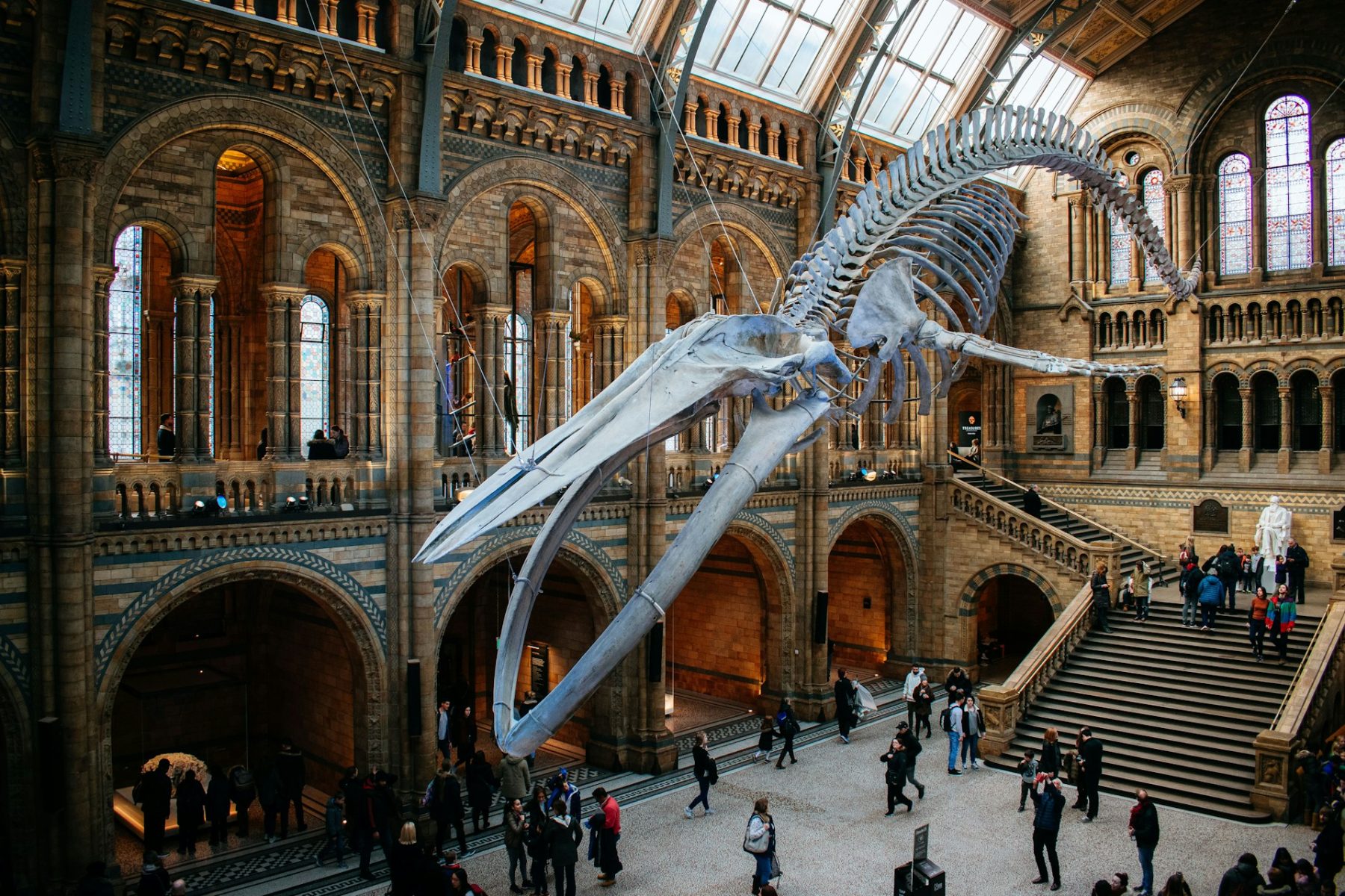 natural-history-museum