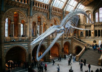 natural-history-museum