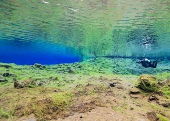 snorkelling-iceland