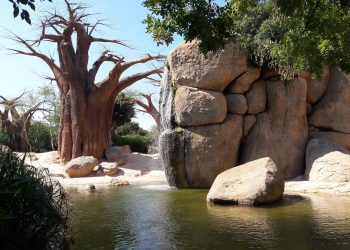 valencia-biopark