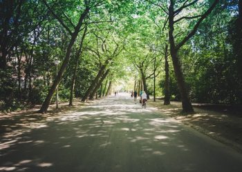 vondelpark-amsterdam