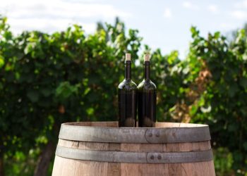 wine-tour